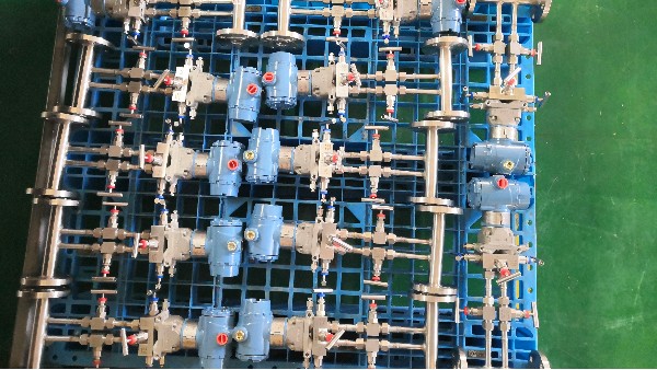 v椎米兰（中国） (2)